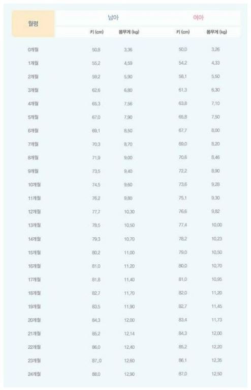 아기발달과정,아기발달검사