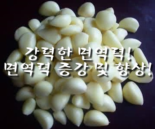 마늘 효능과 마늘즙 효능 Best6, 마늘 활용법까지!