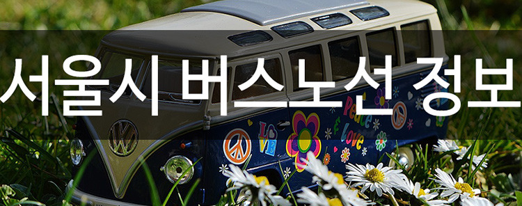 서울 간선버스 146번 버스노선 정보 :: 익스페리먼트 No.5