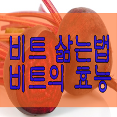 꿀정보 지식창고 :: 비트 삶는법과 비트의 효능