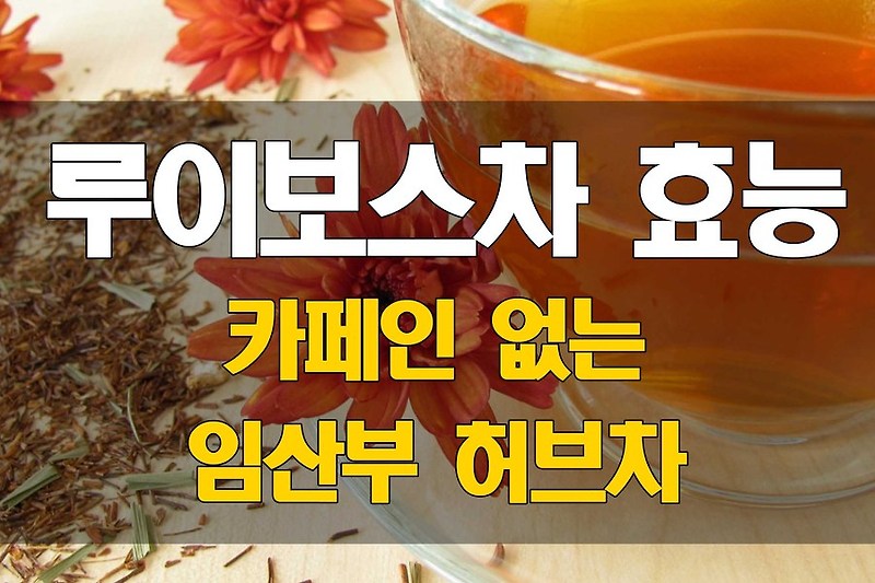 임산부 차 루이보스티 무카페인 허브차