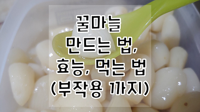 꿀마늘 만드는 법, 효능 그리고 먹는 법(부작용 까지)