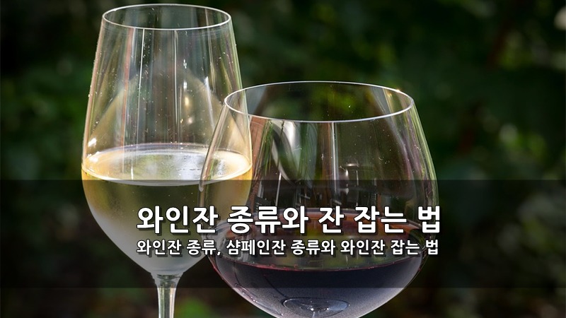 와인잔 종류, 샴페인잔 종류와 와인잔 잡는 법 :: 키스세븐지식