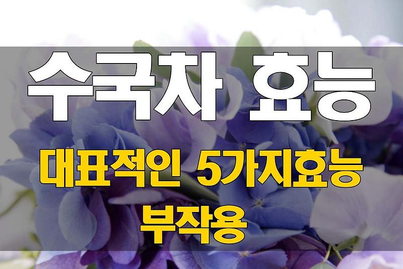 수국차 효능 대표적인 5가지효능 및 부작용 :: 노르웨이의 아침