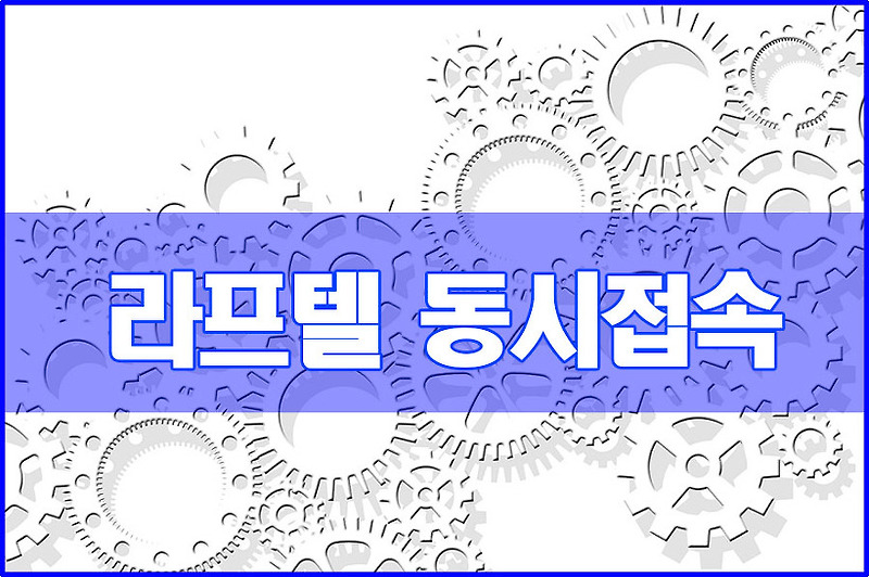 라프텔 동시접속 하는법 가능할까?