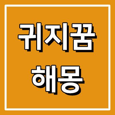 귀지를 파는 꿈 귀지가 많이 나오는꿈 해몽 알아보기 :: 알찬정보꿀팁