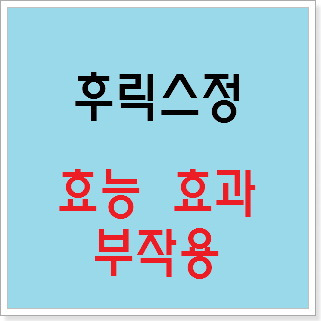 후릭스정 효능 효과, 부작용 알고 사용하시나요? :: 느리게 즐기면서 꾸준히