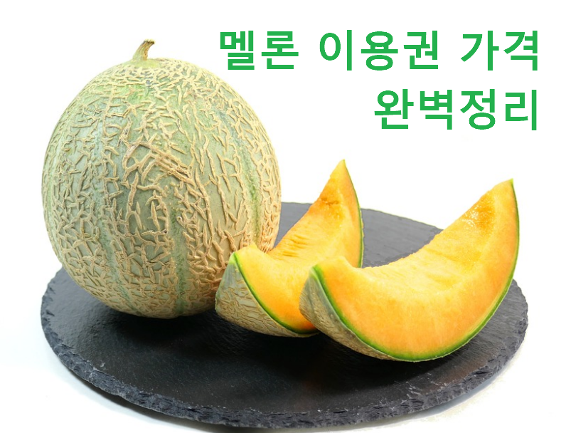 멜론 이용권 가격 완벽정리