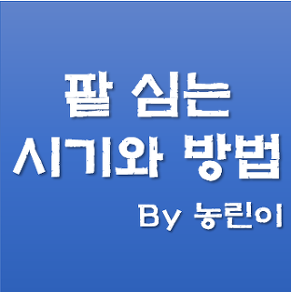 팥심는 시기와 방법