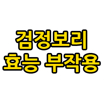 검정보리 효능 부작용