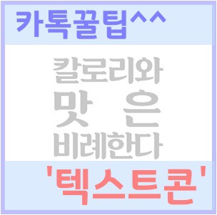 카톡 '텍스트콘' 사용법(카카오톡 깨알 재미)