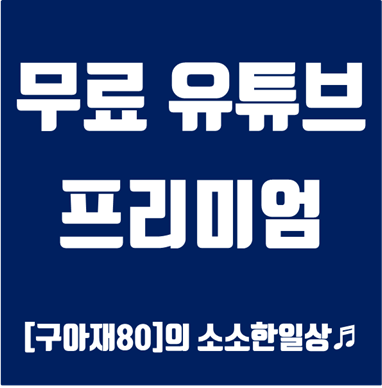 아이폰,안드로이드,유튜브 밴스드 아이폰,핸드폰 유튜브 광고차단,무료 유튜브 프리미엄 설치,유튜브 백그라운드재생,밴스드,YouTube Vanced 안내 :: [구아재80] 의 소소한 일상♬