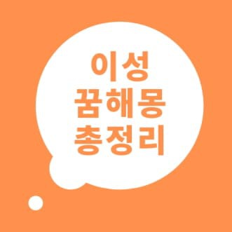 이성 꿈해몽 이성 꿈 풀이