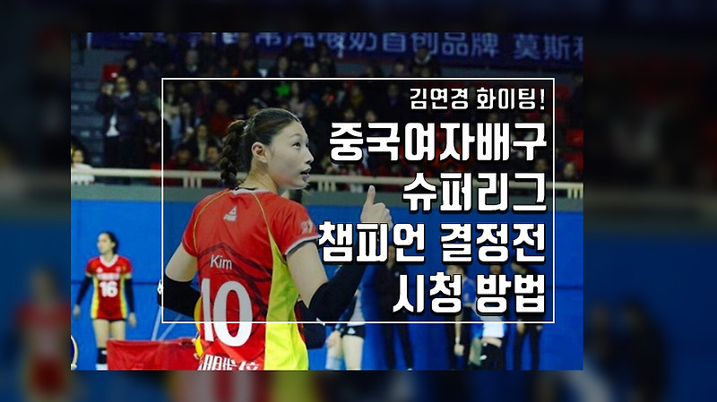 김연경 경기 보는 법, 중국 여자 배구 리그 보는 방법, 중국 사이트 링크. :: 영화,방송,문화,책,트랜드