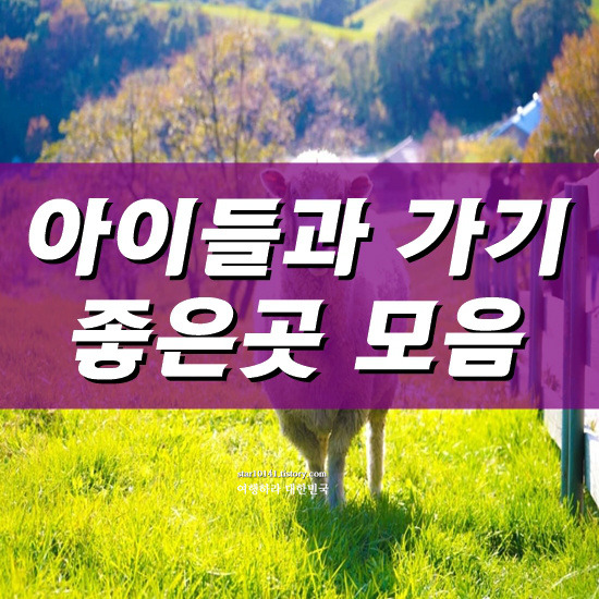 아이들과 가볼만한 곳 100