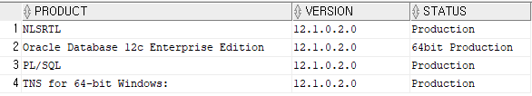 [ORACLE] 오라클_사용중인 오라클 버전 확인하기(SQL 쿼리문)