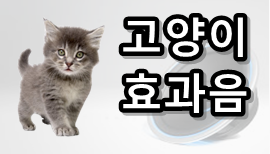 고양이 효과음 MP3 다운로드