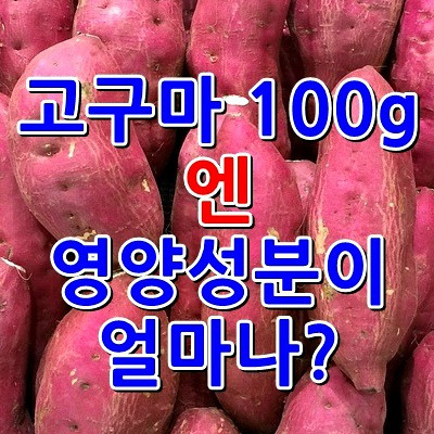 고구마 100G 탄수화물 칼륨 단백질 영양소들 함량은?