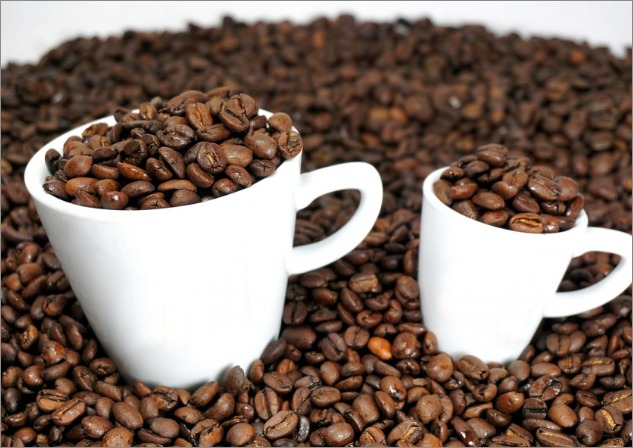 디카페인 원리- 카페인없는 커피