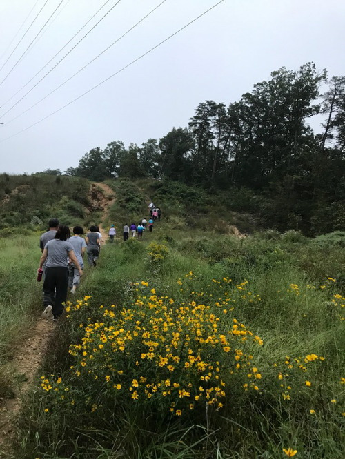 “자살한 제 친구, 지옥에 갔을까요?”/법륜스님의 하루 즉문즉설 20180916
