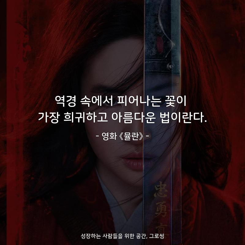모든 역경 속에서 살아남기: 고양이의 산불 생존과 가족과의 재회에 관한 감동적인 이야기. 5