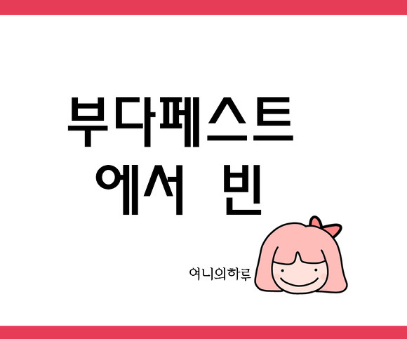 부다페스트에서비엔나 플릭스버스타고가기!