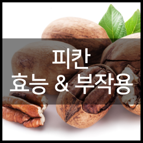 피칸 하루 섭취량 및 효능부터 가격 정리