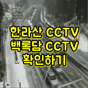 한라산 CCTV, 백록담 CCTV 보는 방법