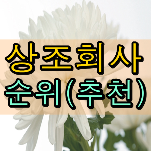 상조회사 순위 (추천)