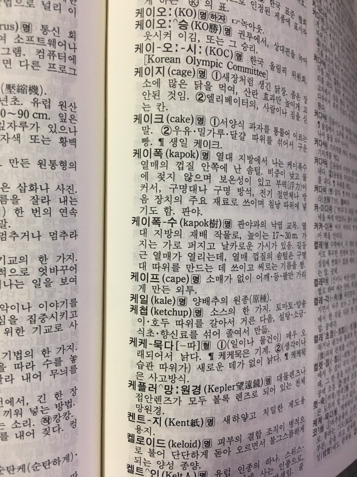 켓으로 시작하는 단어 있다!?