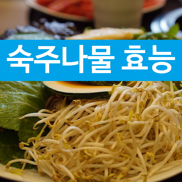 Top 16 숙주나물 많이 먹으면 30 Most Correct Answers