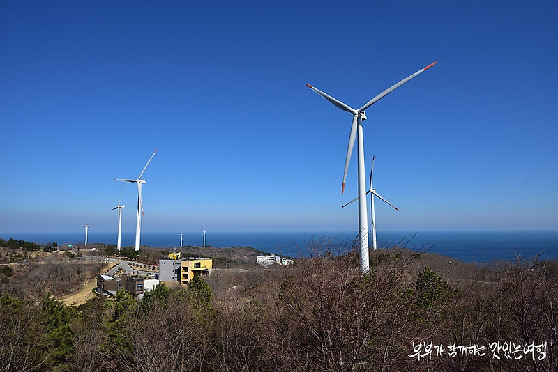 [영덕여행] 풍력발전단지, 바람에 춤을 추는 풍차의 향연