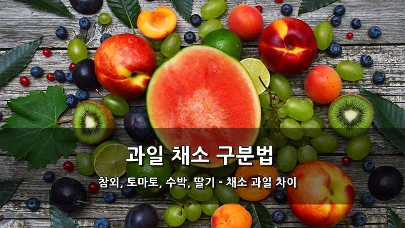 참외, 토마토, 수박, 딸기 - 채소 과일 차이와 과일 채소 구분법 :: 키스세븐지식