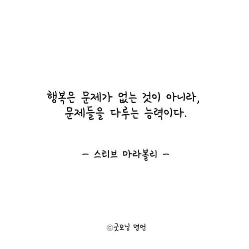 스티브 마라볼리