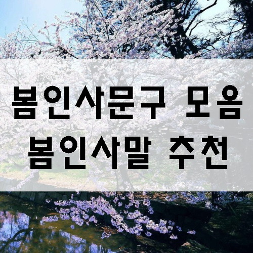 봄인사문구 모음, 봄인사말 추천