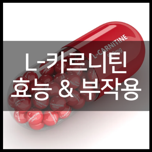 L카르니틴 엘카르니틴 효능 부작용 섭취 방법
