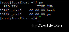 [리눅스]ps명령어(프로세스 확인 명령어, 특정 프로세스 확인)
