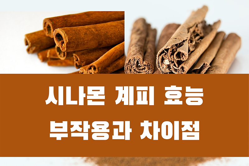 계피 효능 효과 카시아 시나몬 당뇨병,비만,부작용,쿠마린,임신,모유수유,어린이,간질환  ,수술,복용량 계피가루 계피물