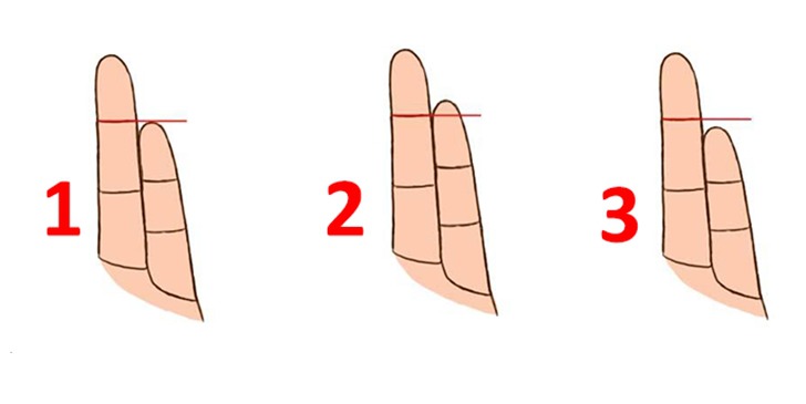 의외로 정확한 새끼손가락 길이로 알아보는 성격유형 :: Aedi의 스마트라이프