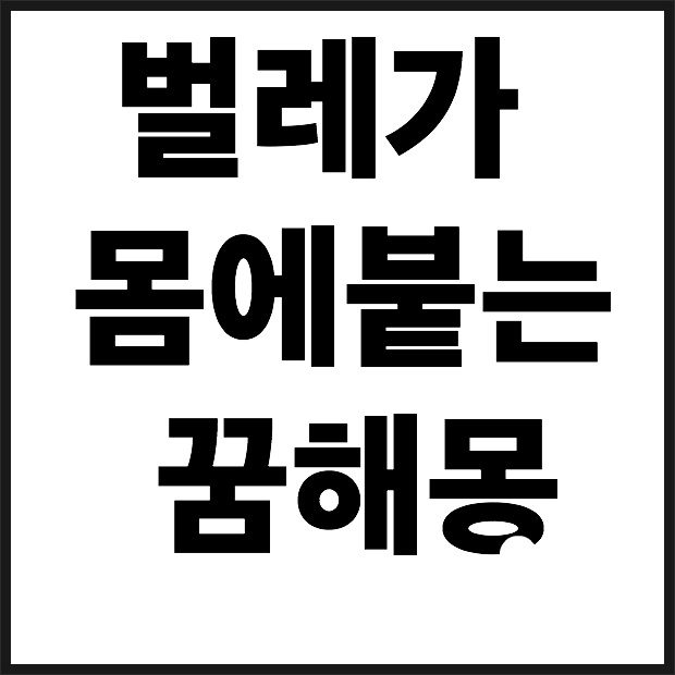 벌레가 몸에 붙는꿈 해몽풀이 곤충꿈 벌레꿈