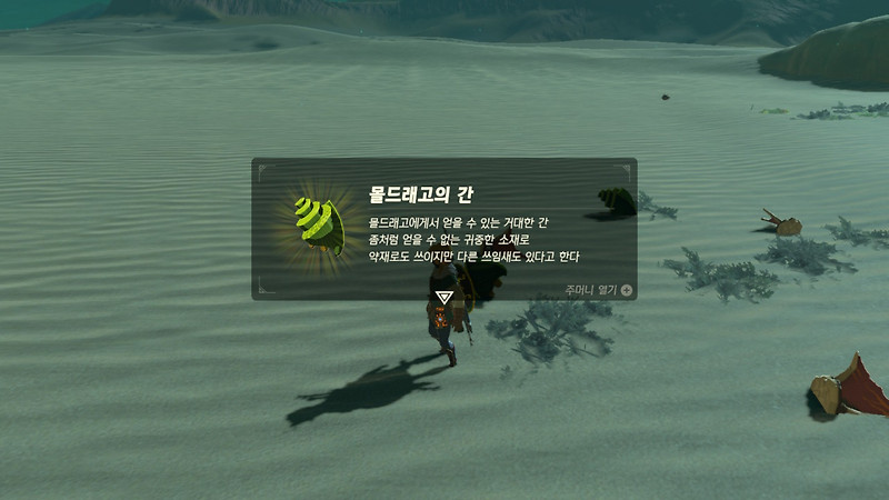 [젤다의전설:BOTW] 몰드래고의 간 - 미니챌린지