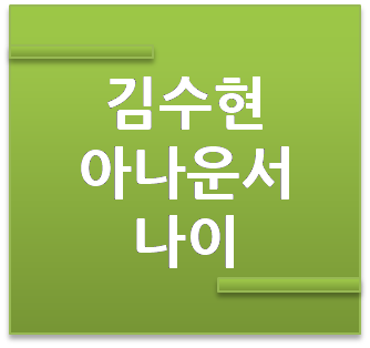 김수현 아나운서 나이, 결혼, 남편 우왁굳은 누구? :: 행복을꿈꾸는청춘스토리