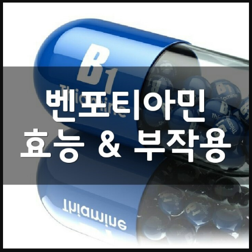 벤포티아민 효능 및 비타민부터 가격 정리