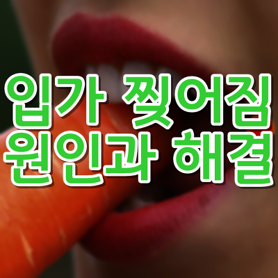 52G :: 입가 찢어짐 빨리 회복하는 팁