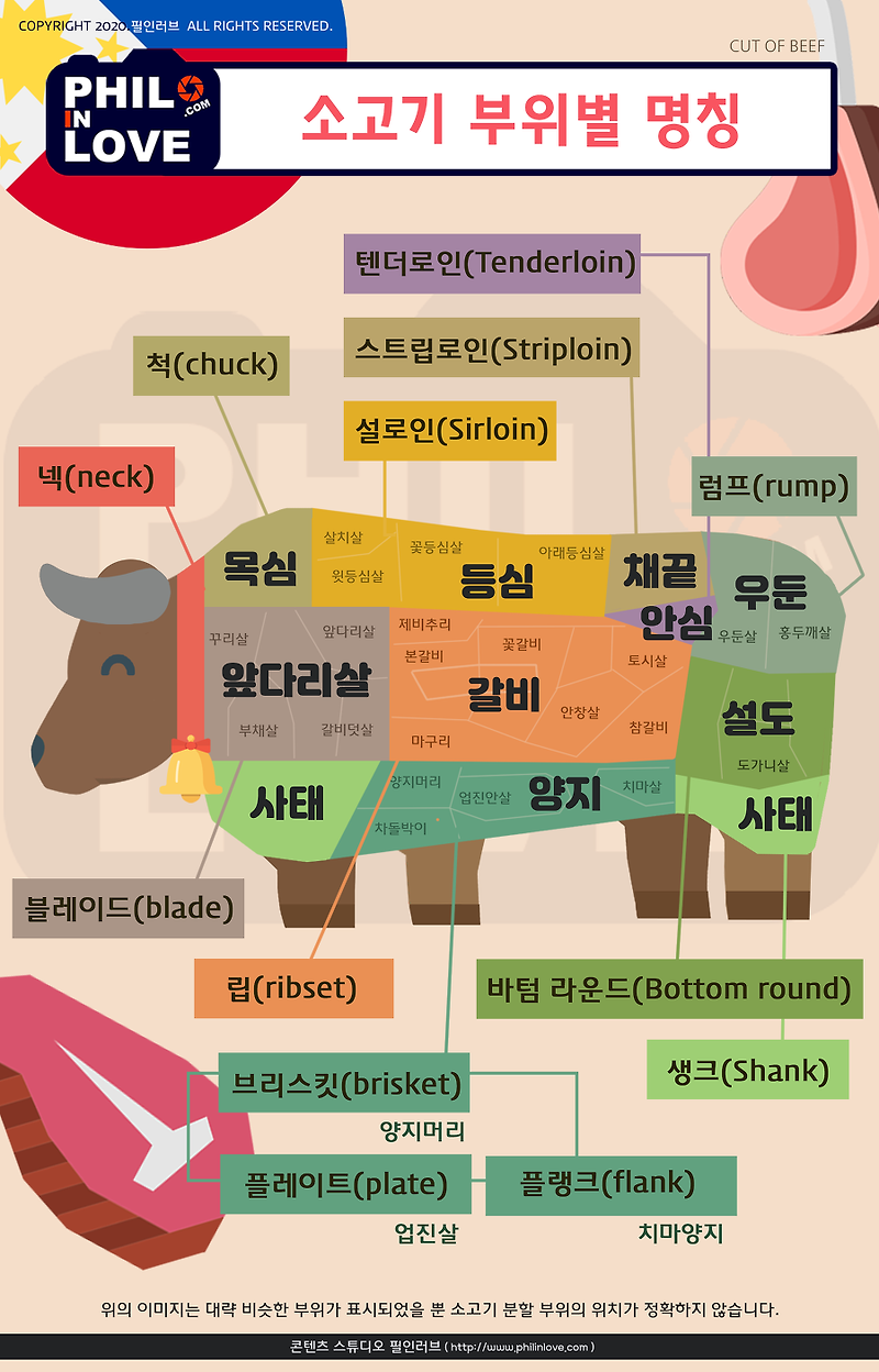 [필리핀 생활] 소고기의 부위별 영어 명칭과 요리용도