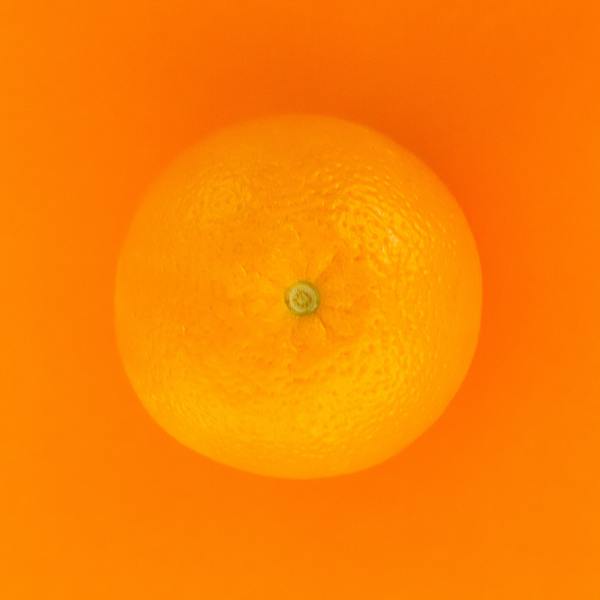 주황색? 오렌지색? 주황색, 오렌지색의 의미 총정리