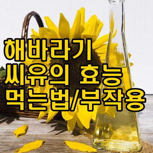 해바라기 씨유의 효능 먹는법 부작용 알고 드시면 약입니다.