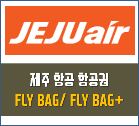 제주항공 FLYBAG 항공권 예약법 국내선 수하물규정 총정리 :: ★신박한 정보 모음★ 