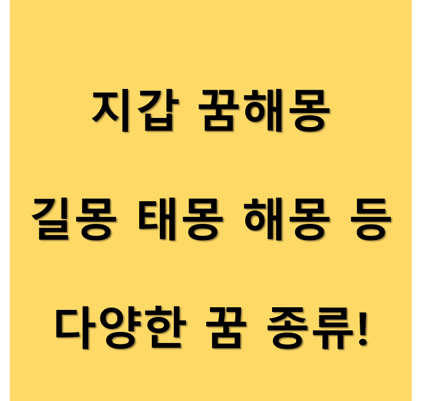 지갑 꿈해몽 길몽 태몽 해몽 등 다양한 꿈 종류!