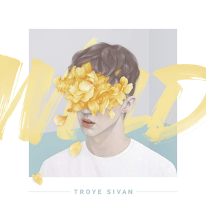 Troye Sivan(트로이 시반)-Fools [듣기/가사해석/Lyrics] :: 미니의소소한일상